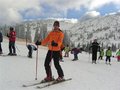 Skiing in Austria 15016721