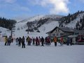 Skiing in Austria 15016737