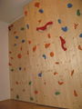 Boulderwand 68226612