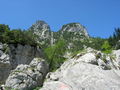 Ebenseer Hochkogel - 29.6.2010 73964999