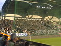 SK Rapid Wien - Schalke 04 63056102