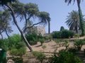 faliraki 41928814