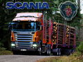 scania bilder 65704004