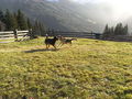 Bad Gastein 4.11.- 25.11.09 :) 69346090