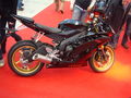 BIKE´S 64399958