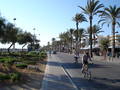 Mallorca 2006 8235522