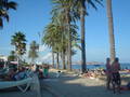 Ibiza Part II 1826330