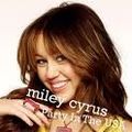 Miley Cyrus 72176192