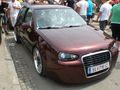 GTI Treffen 2009 65343712