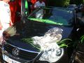 GTI Treffen 2009 65344021