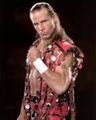 shawn michaels 65689604