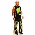 shawn michaels 65689607