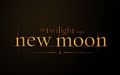 New Moon 68502832