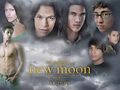 New Moon 68502854