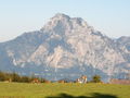 WiLdPaRk & GmUnDeN 63993489