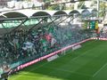 SK Rapid Wien Ale Ale 64998286