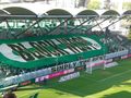 SK Rapid Wien Ale Ale 64998289