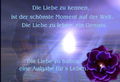 romantisch 71576453