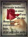 romantisch 71576460