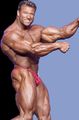 BODYBUILDER 66369029