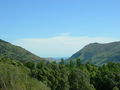 Akaroa - Banks Peninsula 48563398