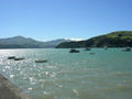 Akaroa - Banks Peninsula 48563414