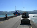 Akaroa - Banks Peninsula 48563420