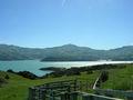 Akaroa - Banks Peninsula 48563425