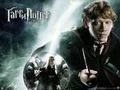 i love harry potter 66719161