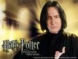 i love harry potter 66719166