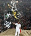 Travis Pastrana 71364369