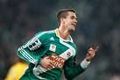 SK Rapid Wien 65587881