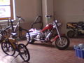 jo a poa harleys und minibiks und so 74503618