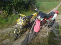 Sauga und dirt bike 65799766