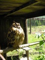 Wildpark Grüna, 19.5.2007 26990228