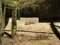 Wildpark Grüna, 19.5.2007 26990433