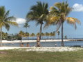 Miami, Bahamas 35339710