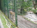 Tierpark Haag 2009 66743452