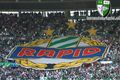 ..uLtRaS rApId.. 72803386