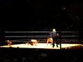 WRESTLEMANIA_REVENGE_TOUR 18685305