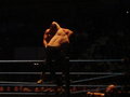 WRESTLEMANIA_REVENGE_TOUR 18685524