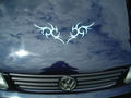 GTI Treffen 2008 38594882