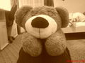 ii mid mein teddy..  :) 70151118