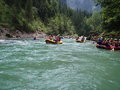 Rafting 11018294