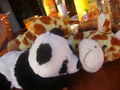 Raffi & Panda - friends 4 life 65363781