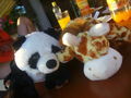 Raffi & Panda - friends 4 life 65363796