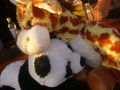Raffi & Panda - friends 4 life 65363800
