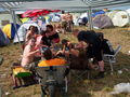 NoVaRoCk 2009 61753335