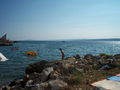 .. Urlaub in Kroatien .. 65285520