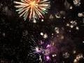 silvester2010  72320525